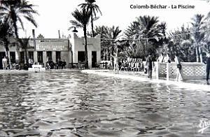 697- Colomb-Bechar - Piscine